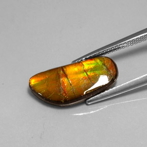 Ammolite Gemstone in 17.3 x 8.1 mm Size for Sale, Ammolite Stone in Multicolor Color