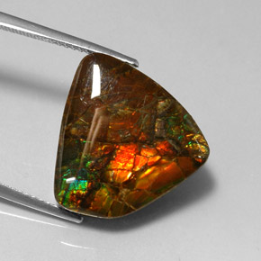11.39 ct Multicolor Ammolite Stone, Natural Ammolite in Fancy Cabochon Shape for Sale