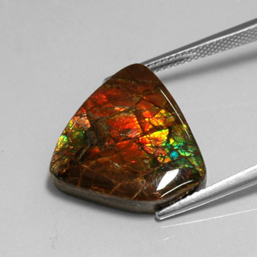 Ammolite Gemstone in 18 x 16.9 mm Size for Sale, Ammolite Stone in Multicolor Color