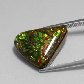Ammolite Gemstone in 18.2 x 13.9 mm Size for Sale, Ammolite Stone in Multicolor Color
