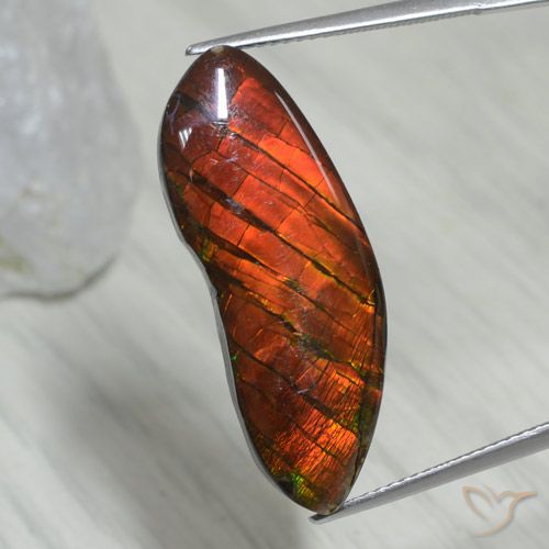 15.54ct Natural Multicolor Ammolite, Fancy, Opaque