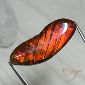 15.54 ct Multicolor Ammolite Stone, Natural Ammolite in Fancy Cabochon Shape for Sale