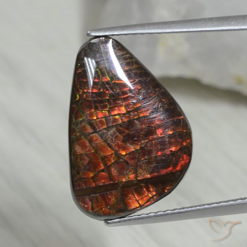 8.09 ct Fancy Ammolite, 18.9 x 12.9 mm From Canada, Photo A