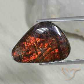 8.09 ct Multicolor Ammolite Stone, Natural Ammolite in Shark Fin Cabochon Shape for Sale