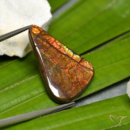 15.23 ct Fancy Ammolite, 26.6 x 16.4 mm From Canada, Photo A