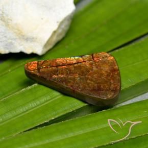 15.23 ct Multicolor Ammolite Stone, Natural Ammolite in Shark Fin Cabochon Shape for Sale