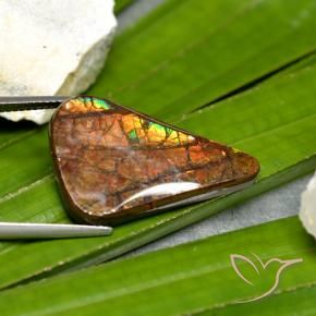 Ammolite Gemstone in 26.6 x 16.4 mm Size for Sale, Ammolite Stone in Multicolor Color
