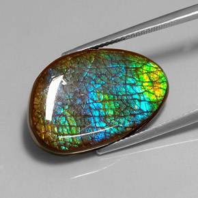 16.45 ct Multicolor Ammolite Gemstone, Ammolite Gem in Fancy Cabochon Shape for Sale.