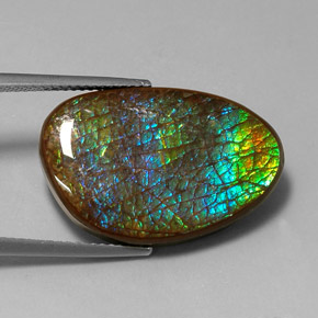 16.45 ct Multicolor Ammolite Stone, Natural Ammolite in Fancy Cabochon Shape for Sale