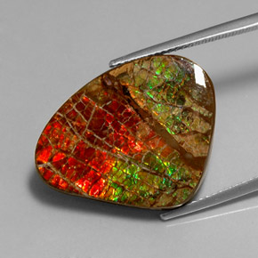 17.71 ct Multicolor Ammolite Gemstone, Ammolite Gem in Fancy Cabochon Shape for Sale.