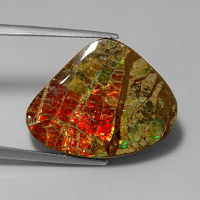 17.71 ct Multicolor Ammolite Stone, Natural Ammolite in Fancy Cabochon Shape for Sale