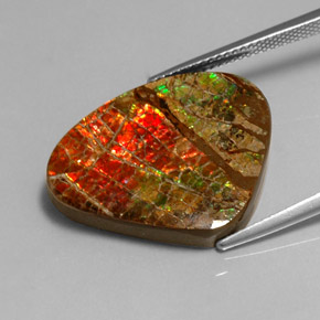 Ammolite Gemstone in 26.1 x 21.2 mm Size for Sale, Ammolite Stone in Multicolor Color