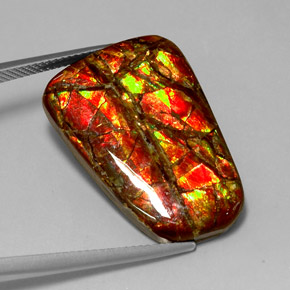 18.54 ct Multicolor Ammolite Gemstone, Ammolite Gem in Fancy Cabochon Shape for Sale.