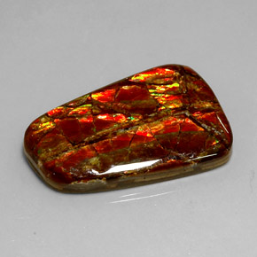 18.54 ct Multicolor Ammolite Stone, Natural Ammolite in Fancy Cabochon Shape for Sale