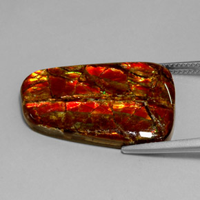 Ammolite Gemstone in 28.8 x 20.1 mm Size for Sale, Ammolite Stone in Multicolor Color