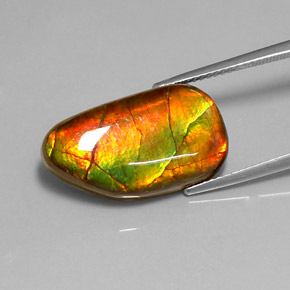 10.78 ct Multicolor Ammolite Gemstone, Ammolite Gem in Fancy Cabochon Shape for Sale.
