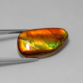 10.78 ct Multicolor Ammolite Stone, Natural Ammolite in Fancy Cabochon Shape for Sale