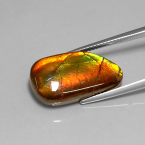 Ammolite Gemstone in 24.3 x 14.6 mm Size for Sale, Ammolite Stone in Multicolor Color