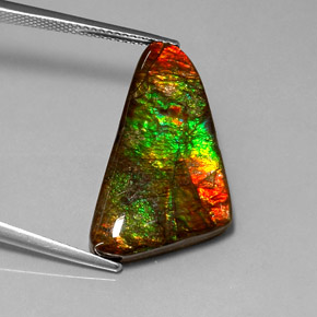 12.85 ct Multicolor Ammolite Gemstone, Ammolite Gem in Fancy Cabochon Shape for Sale.