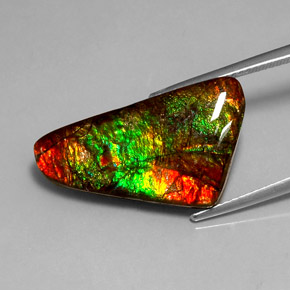 12.85 ct Multicolor Ammolite Stone, Natural Ammolite in Fancy Cabochon Shape for Sale