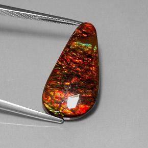 9.52 ct Multicolor Ammolite Stone, Natural Ammolite in Pear Cabochon Shape for Sale