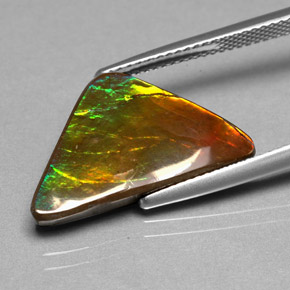 6.98 ct Multicolor Ammolite Gemstone, Ammolite Gem in Fancy Cabochon Shape for Sale.