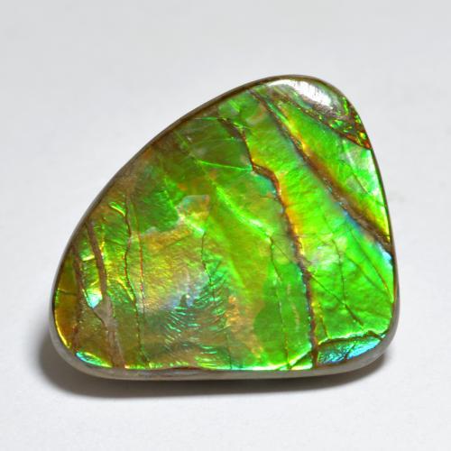 7.3ct Shark Fin Cabochon Multicolor Ammolite Gem for sale 7.3ct Shark Fin Cabochon Multicolor Ammolite Gem (ID: 284772)