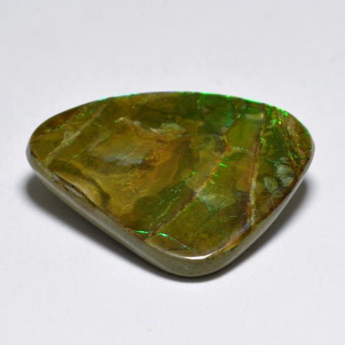 Ammolite Gemstone in 19.3 x 15.7 mm Size for Sale, Ammolite Stone in Multicolor Color