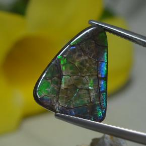 8.5ct Shark Fin Cabochon Multicolor Ammolite for sale thumb image of 8.5ct Shark Fin Cabochon Multicolor Ammolite (ID: 284773)
