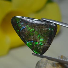 8.51 ct Multicolor Ammolite Stone, Natural Ammolite in Shark Fin Cabochon Shape for Sale