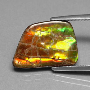 6.82 ct Multicolor Ammolite Gemstone, Ammolite Gem in Fancy Cabochon Shape for Sale.