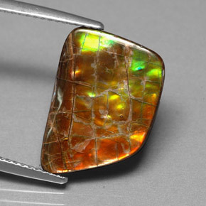 6.82 ct Multicolor Ammolite Stone, Natural Ammolite in Fancy Cabochon Shape for Sale