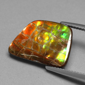 Ammolite Gemstone in 17 x 12.3 mm Size for Sale, Ammolite Stone in Multicolor Color