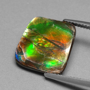 Ammolite Gemstone in 14.3 x 13.9 mm Size for Sale, Ammolite Stone in Multicolor Color