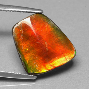 5.17 ct Multicolor Ammolite Stone, Natural Ammolite in Fancy Cabochon Shape for Sale