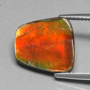 Ammolite Gemstone in 14.4 x 13.5 mm Size for Sale, Ammolite Stone in Multicolor Color
