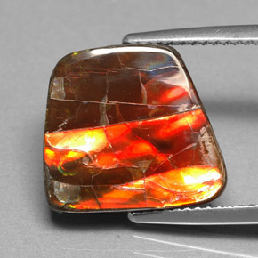 6.70 ct Multicolor Ammolite Gemstone, Ammolite Gem in Fancy Cabochon Shape for Sale.