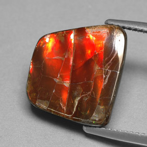 Ammolite Gemstone in 14.6 x 13.4 mm Size for Sale, Ammolite Stone in Multicolor Color