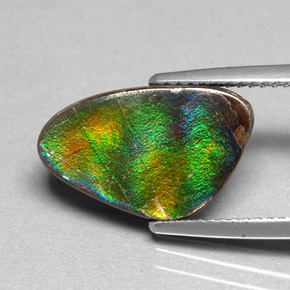 4.54 ct Multicolor Ammolite Stone, Natural Ammolite in Fancy Cabochon Shape for Sale