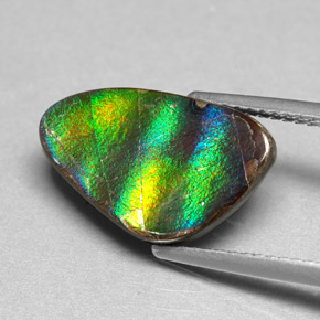 Ammolite Gemstone in 16.1 x 10.1 mm Size for Sale, Ammolite Stone in Multicolor Color