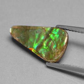 Ammolite Gemstone in 15.7 x 9.2 mm Size for Sale, Ammolite Stone in Multicolor Color