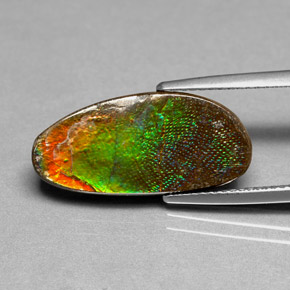 6.03 ct Multicolor Ammolite Gemstone, Ammolite Gem in Fancy Cabochon Shape for Sale.