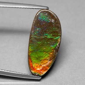 6.03 ct Multicolor Ammolite Stone, Natural Ammolite in Fancy Cabochon Shape for Sale