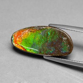 Ammolite Gemstone in 21.3 x 10 mm Size for Sale, Ammolite Stone in Multicolor Color