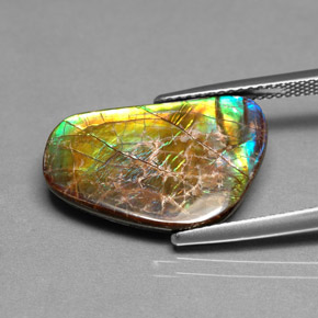 9.00 ct Multicolor Ammolite Gemstone, Ammolite Gem in Fancy Cabochon Shape for Sale.