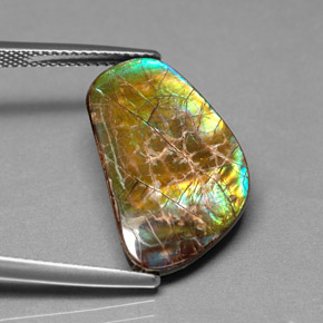 9.00 ct Multicolor Ammolite Stone, Natural Ammolite in Fancy Cabochon Shape for Sale