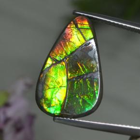 8.39 ct Multicolor Ammolite Gemstone, Ammolite Gem in Shark Fin Cabochon Shape for Sale.