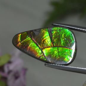 8.39 ct Multicolor Ammolite Stone, Natural Ammolite in Shark Fin Cabochon Shape for Sale