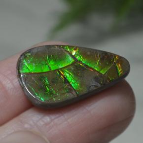 Ammolite Gemstone in 22.3 x 13.9 mm Size for Sale, Ammolite Stone in Multicolor Color