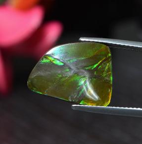 6.7ct Shark Fin Cabochon Multicolor Ammolite Gem for sale 6.7ct Shark Fin Cabochon Multicolor Ammolite Gem (ID: 284797)